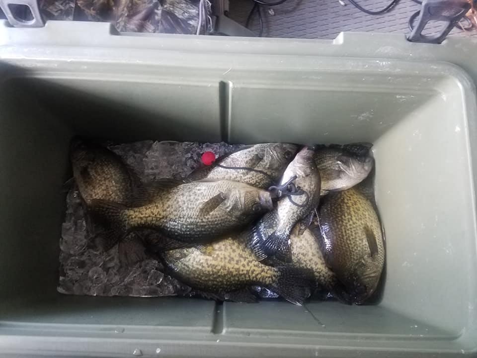 Spring crappie